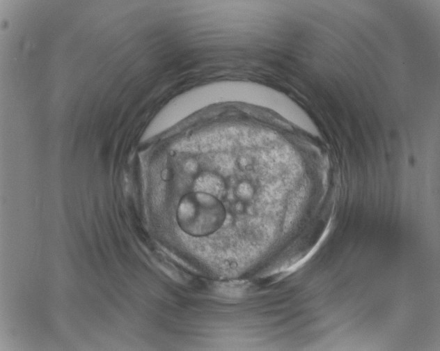 X0000067510191200604281618