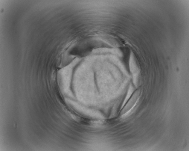 X0000067510192200604281618