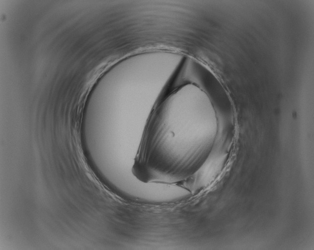 X0000067510193200604281617