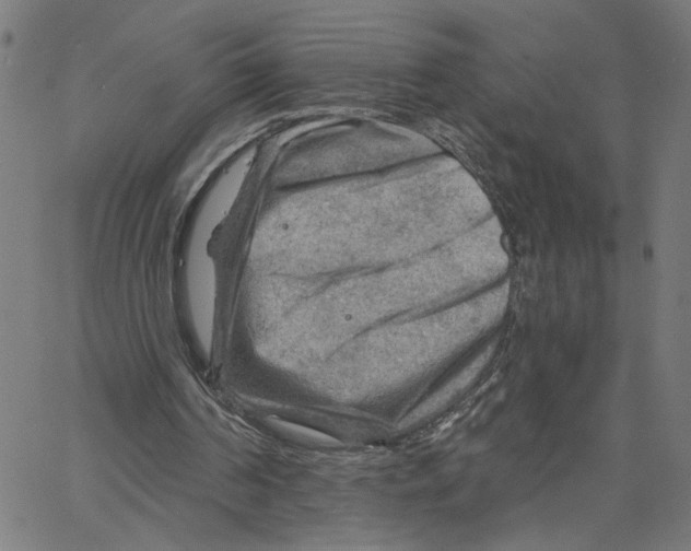 X0000067510194200604281617