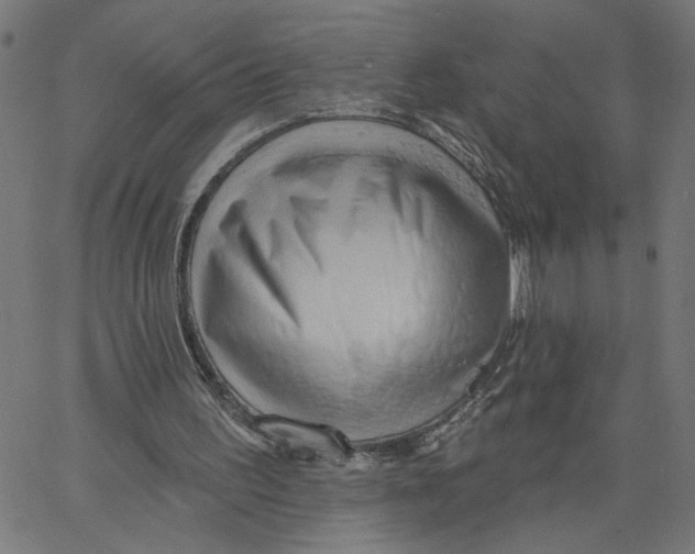 X0000067510195200604281617