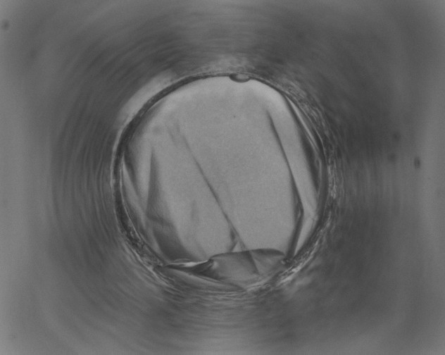 X0000067510196200604281617