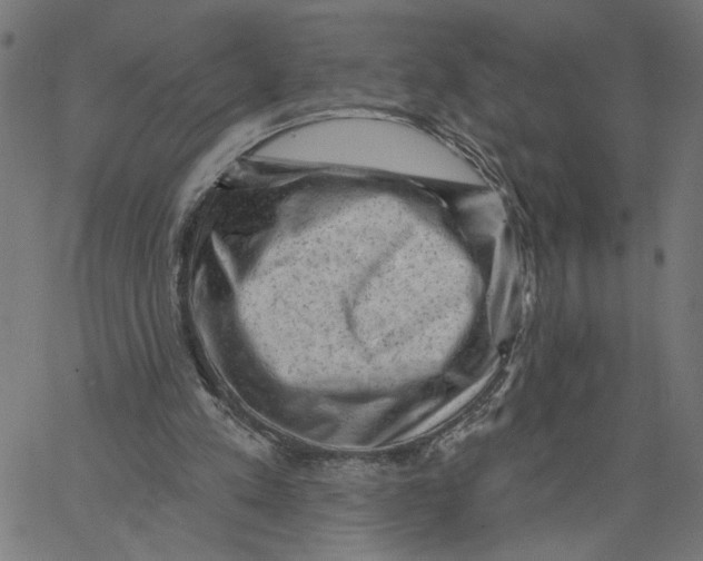 X0000067510197200604281617