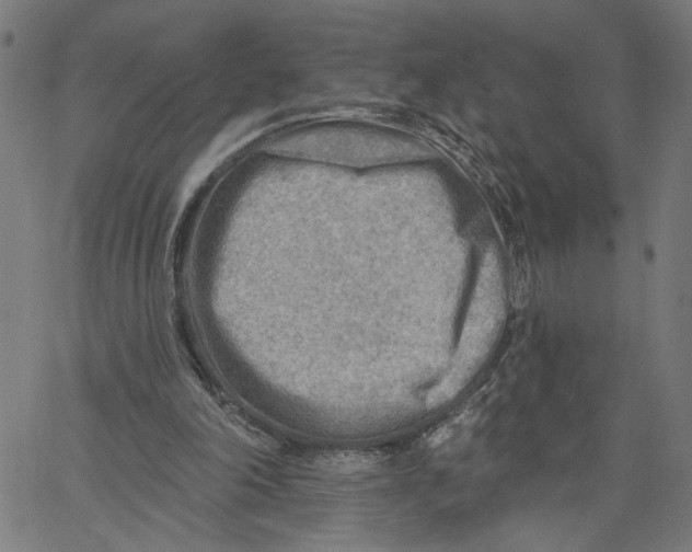 X0000067510198200604281617