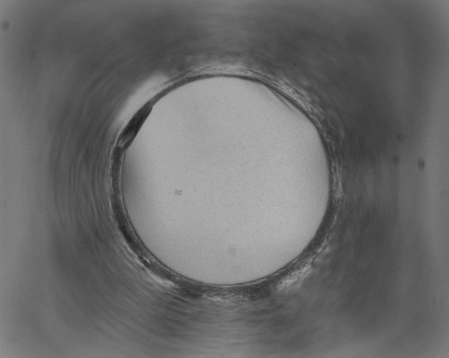 X0000067510199200604281617