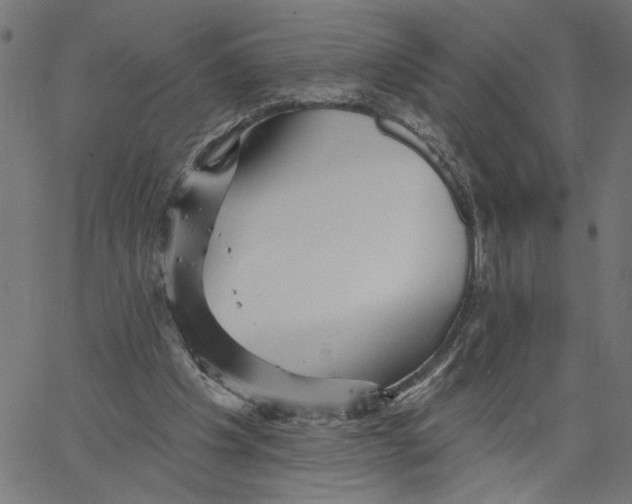 X0000067510201200604281617