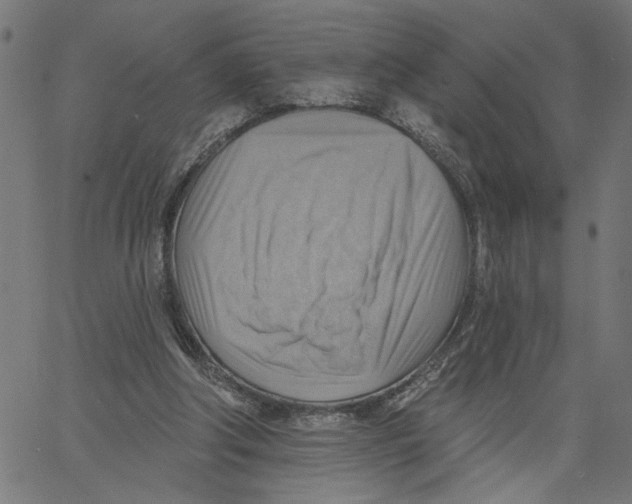 X0000067510202200604281617