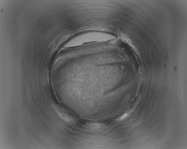 X0000067510205200604281617