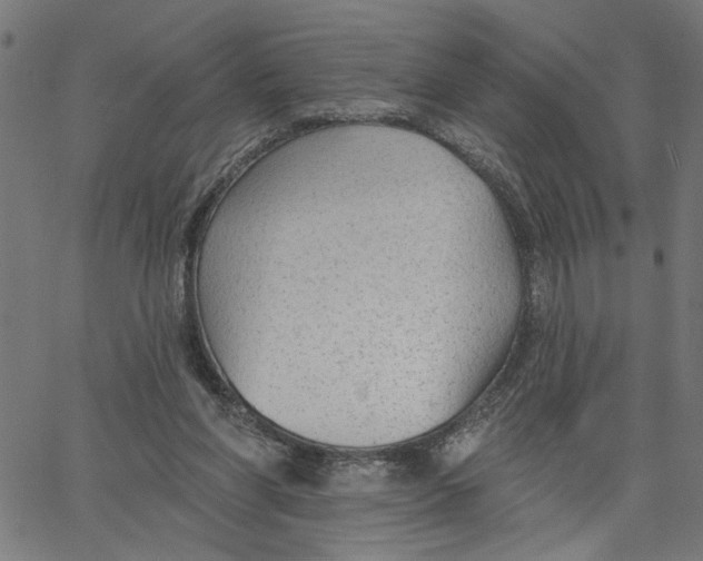 X0000067510206200604281617