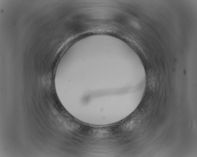 X0000067510208200604281617