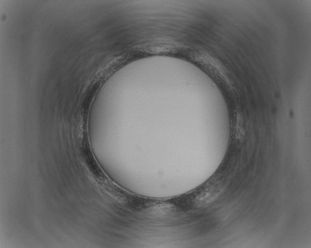 X0000067510210200604281617