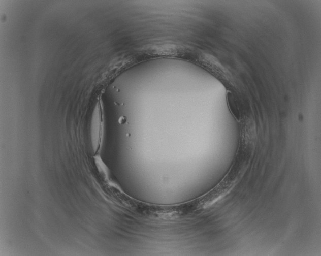 X0000067510213200604281617