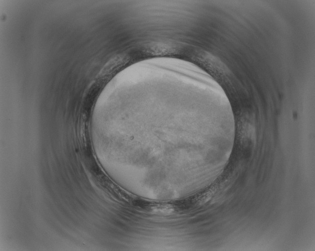 X0000067510214200604281617