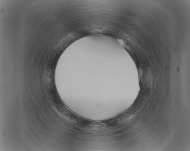 X0000067510215200604281617