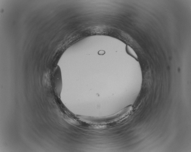 X0000067510217200604281617