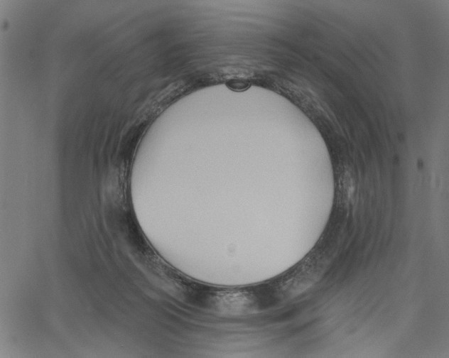 X0000067510218200604281617