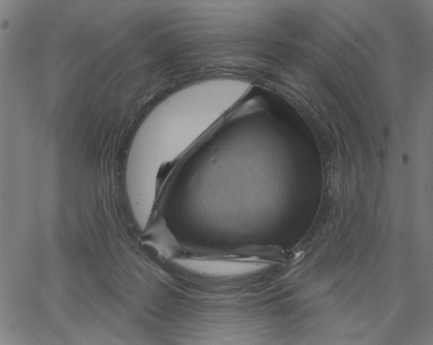 X0000067510219200604281617