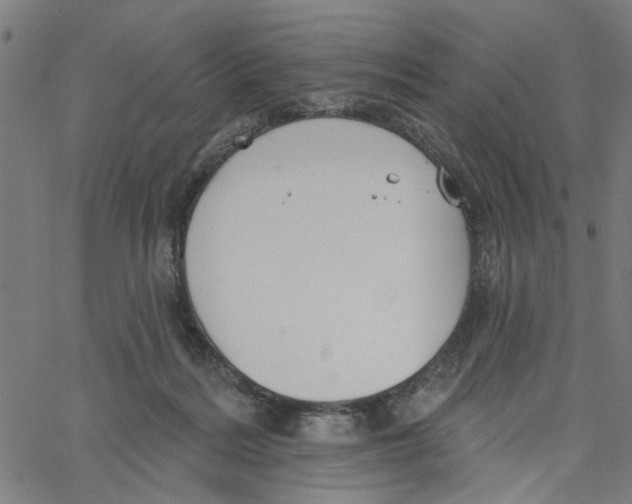 X0000067510220200604281617