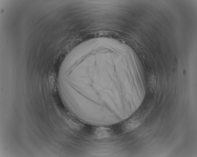 X0000067510222200604281617