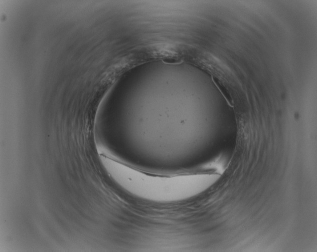 X0000067510223200604281616