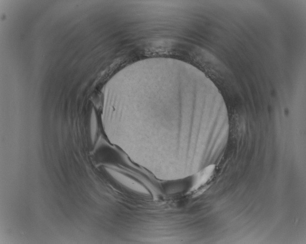 X0000067510224200604281616