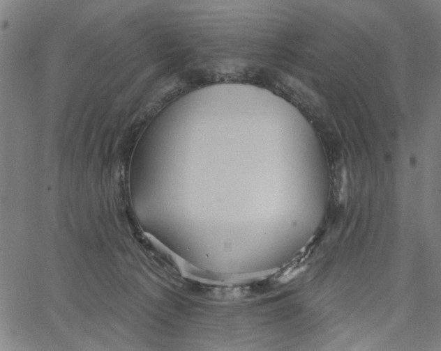 X0000067510225200604281616