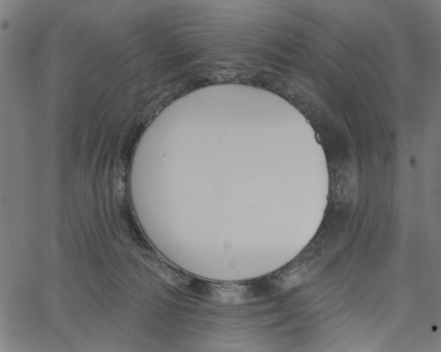 X0000067510226200604281616