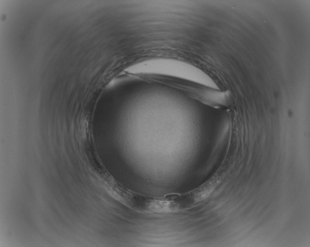 X0000067510227200604281616