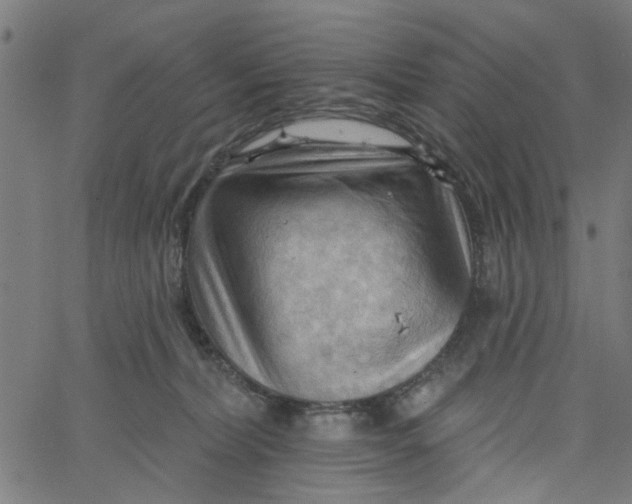 X0000067510228200604281616