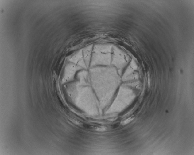 X0000067510229200604281616