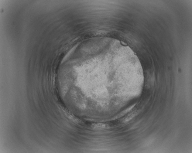 X0000067510230200604281616