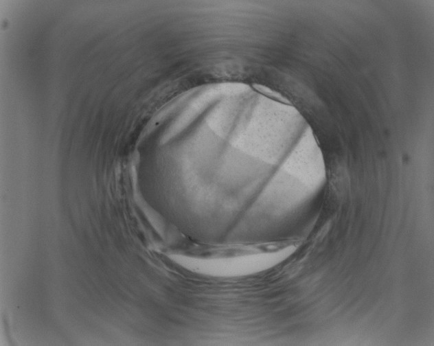 X0000067510233200604281616