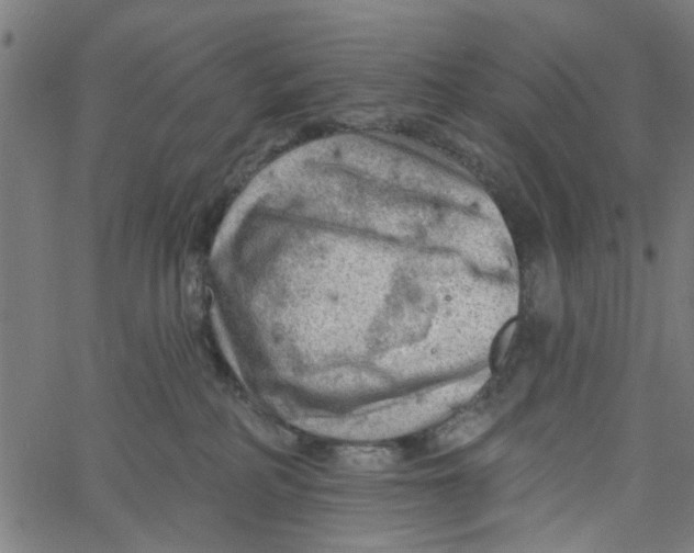 X0000067510234200604281616