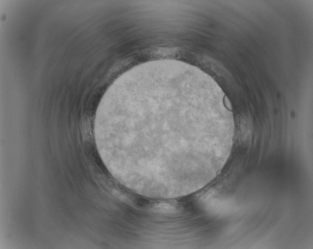 X0000067510236200604281616