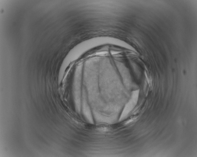 X0000067510237200604281616