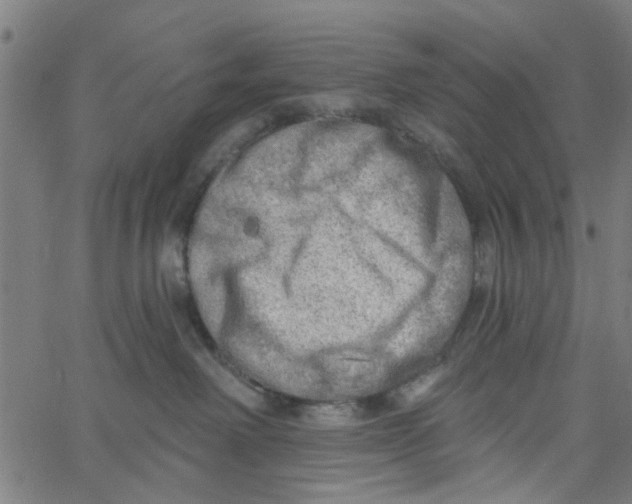 X0000067510238200604281616