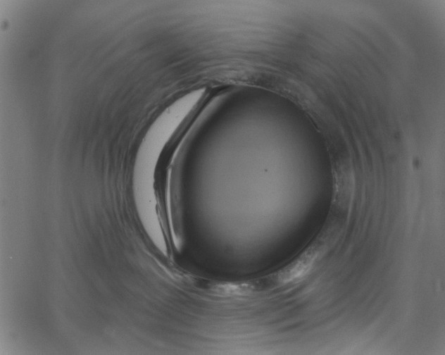 X0000067510239200604281616