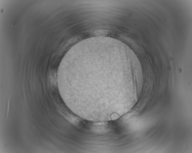 X0000067510240200604281616