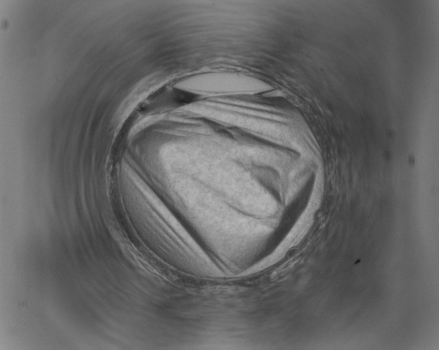 X0000067510242200604281615