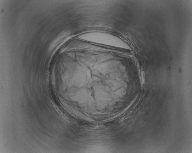 X0000067510243200604281615