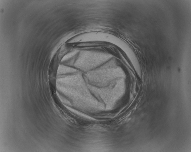 X0000067510244200604281615