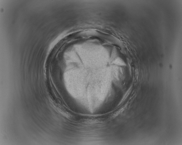 X0000067510246200604281615