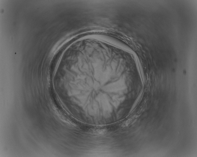 X0000067510247200604281615