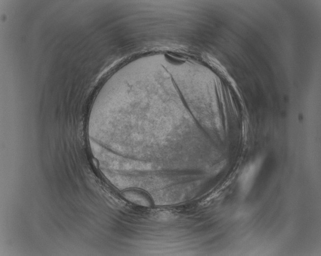 X0000067510249200604281615