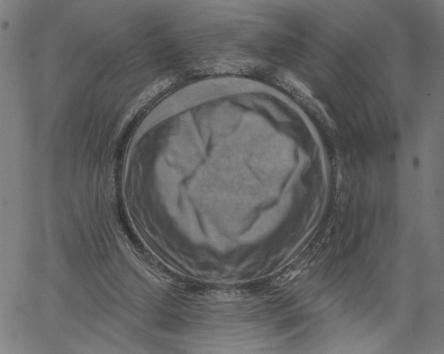 X0000067510250200604281615