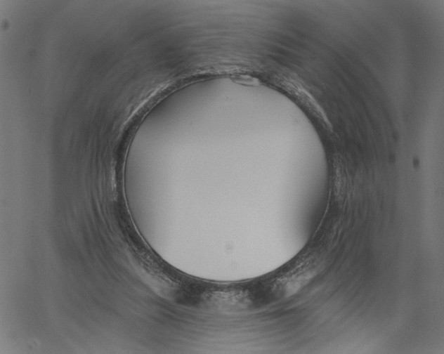 X0000067510251200604281615