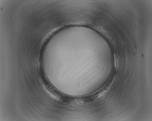 X0000067510252200604281615