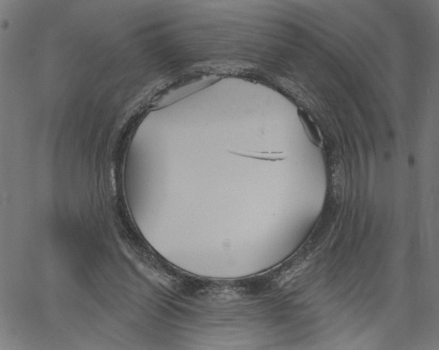 X0000067510254200604281616