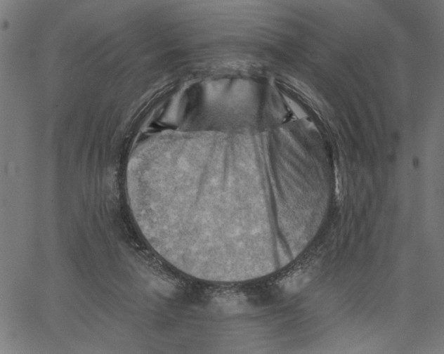 X0000067510258200604281616