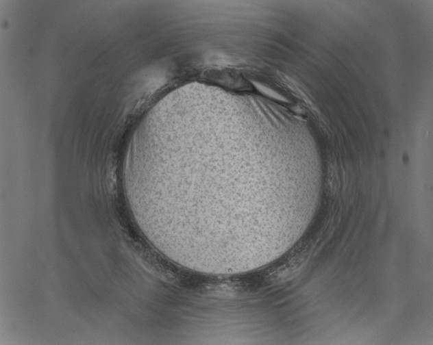 X0000067510259200604281616